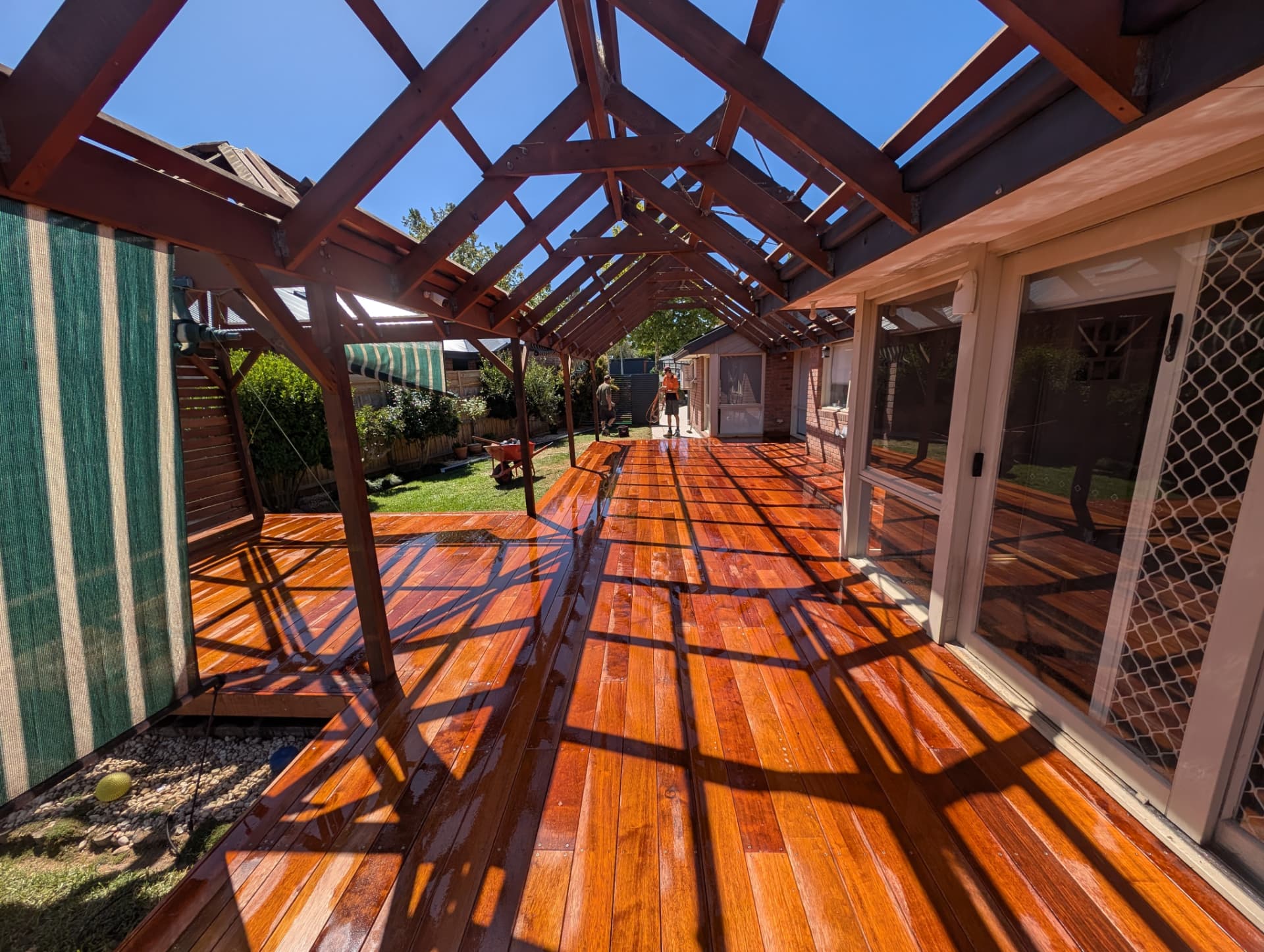 Freshly oiled merbau deck under a timber pergola with clear roofing
